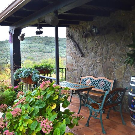 Casa Rural Los Olivos Sotoserrano Zewnętrze zdjęcie