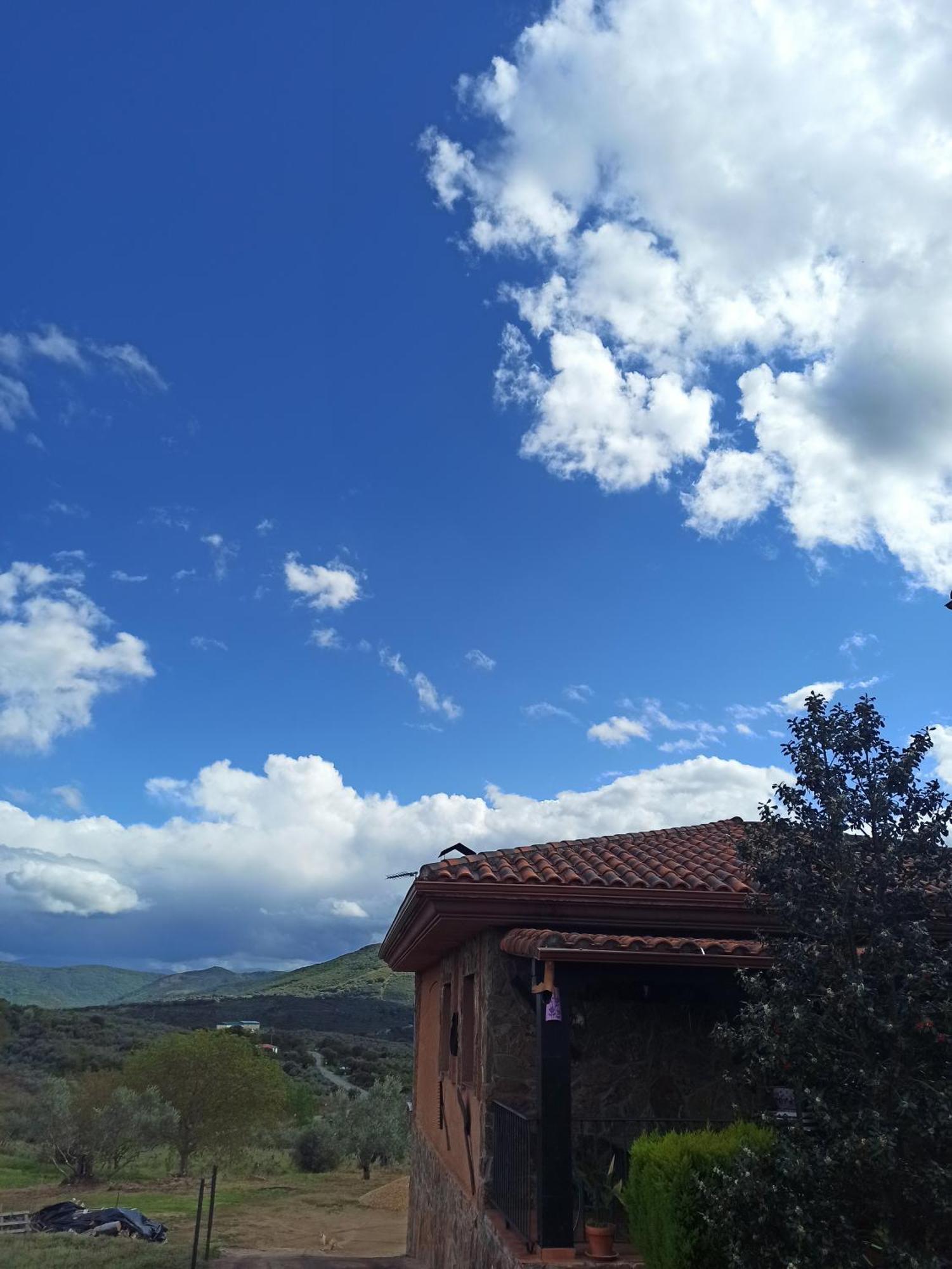 Casa Rural Los Olivos Sotoserrano Zewnętrze zdjęcie